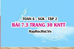 Bài 7.3 trang 30 Toán 6 Tập 2 Kết nối tri thức